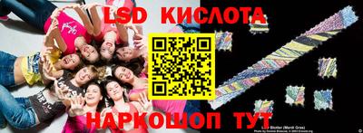 стаф Кулебаки