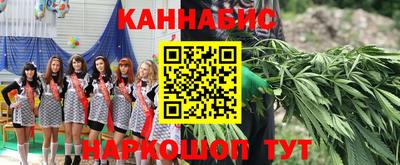 стаф Кулебаки